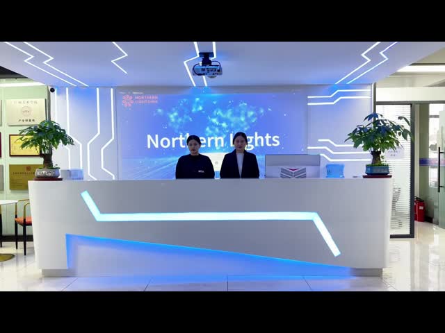 中国 Northern Lights (Guangzhou) Digital Technology Co.,Ltd 企業収益