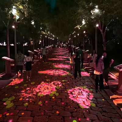 よい価格 アウトドアインタラクティブプロジェクション 体験 地面プロジェクション 浸透プロジェクション オンライン