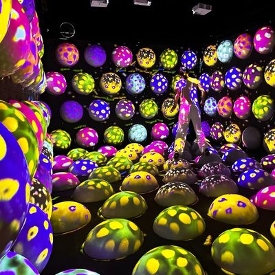 よい価格 室内 インタラクティブ ジャンピング スフィア フロア インタラクティブ プロジェクション ゲーム クール ジャンプ スペース オンライン