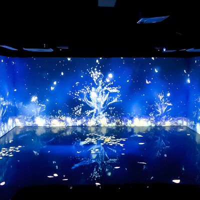 よい価格 室内装飾 デジタルアート美術館 展示 3d 没入型マッピング プロジェクター オンライン