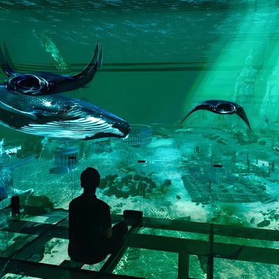 よい価格 工場 オーダーメイド 室内 LED 5 折りたたみスクリーン 3D ホログラムシアター オンライン