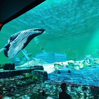 よい価格 ノースライト体験劇場 室内 没入映画館 オンライン
