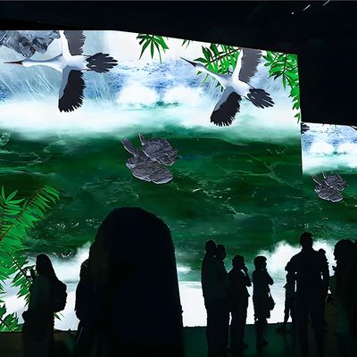 よい価格 ノースライト 最新の広告 インタラクティブな壁 3Dホログラム投影 オンライン