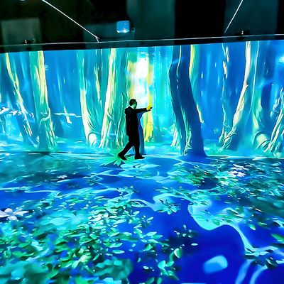 よい価格 浸透体験 360度浸透洞窟投影 インタラクティブなデジタル投影機 オンライン