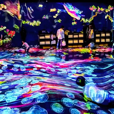 よい価格 3Dホログラム インタラクティブ 壁投影 ソフトウェア 室内体験 オンライン