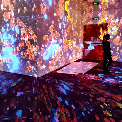 よい価格 ヨガスタジオ 壁投影 床投影 インタラクティブ 仮想リアリティ ミュージアムショー オンライン