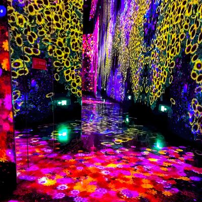 よい価格 インタラクティブな体験 裸眼仮想3D室内浸透展 オンライン