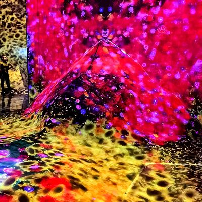 よい価格 3D インドୋର Immersive プロジェクション For Ktv バークラブ インデント 浸透式 プロジェクション システム オンライン