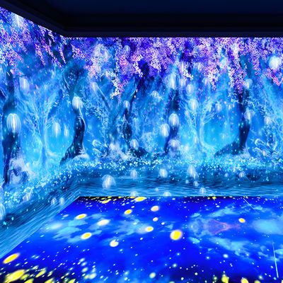 よい価格 3Dインベッシブプロジェクター インベッシブエクスペリエンス 美術館用グラウンドウォールプロジェクション オンライン