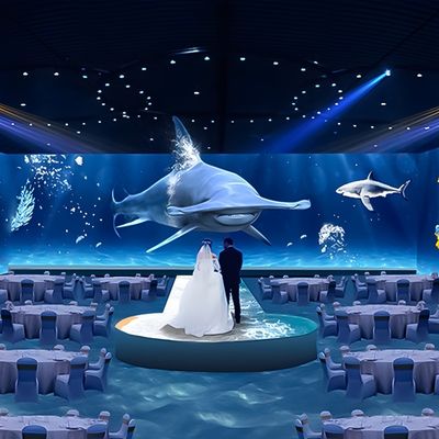 よい価格 食事体験 レストラン 楽しさ 没入型投影 3Dマッピング オンライン