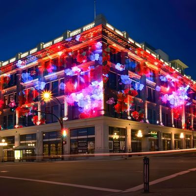 よい価格 屋外レーザーライトショー マシン アニメーションショーレーザー 商業用ライト プロジェクター オンライン
