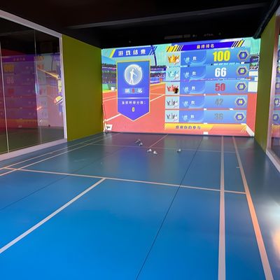 よい価格 ノースターン・ライトス プロ室内ARスポーツ バドミントン室内ボールゲーム オンライン