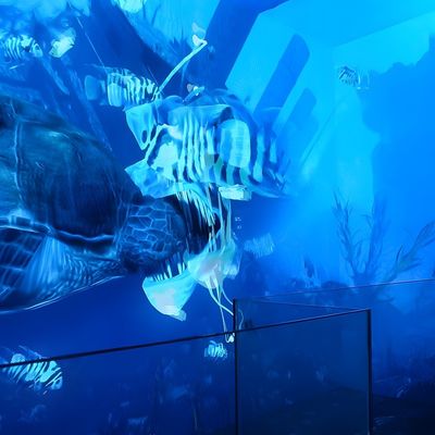 よい価格 VR 没入型映画 ダイナミックシミュレーター 展示会ホールのための映画 LED スクリーン オンライン