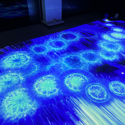 よい価格 Portable Mobile Interactive Floor Projection System with 1280*800 Resolution and 110V-250V Voltage オンライン