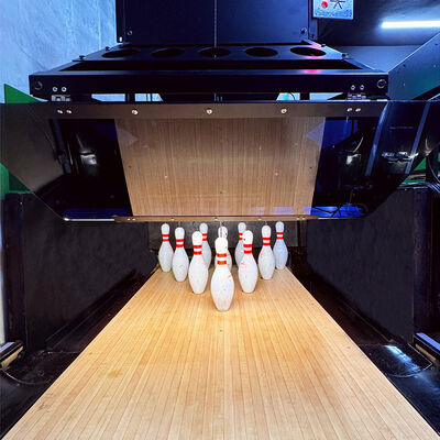 よい価格 Professional Complete Set Indoor Bowling Machine and Tenpin Bowling Game Set for Entertainment オンライン
